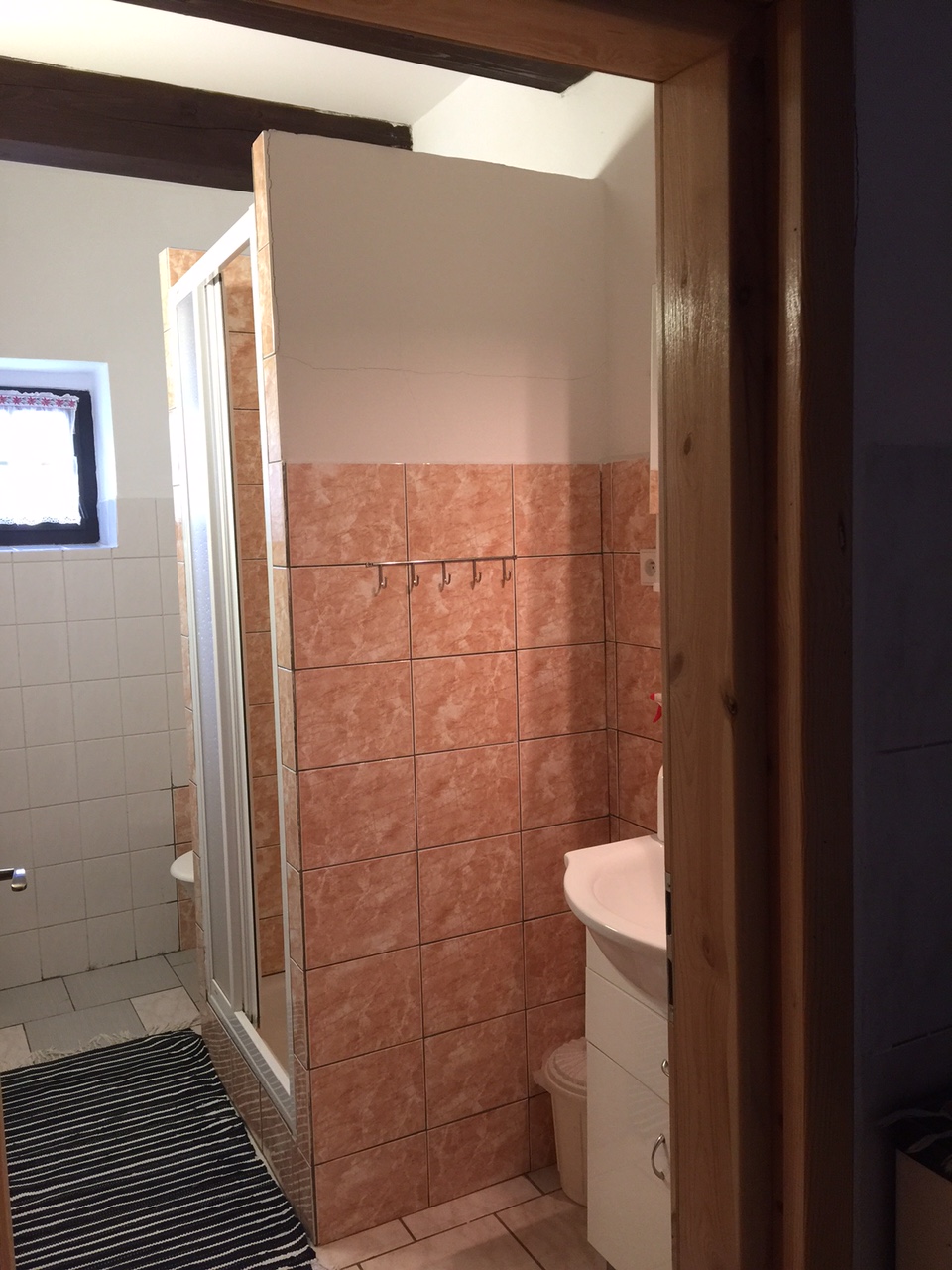 Koupelna se sprchou v apartmánu 1