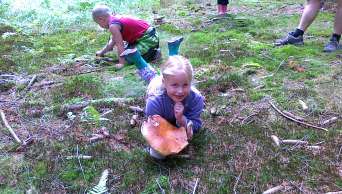 Mushrooming - Camping Karolina