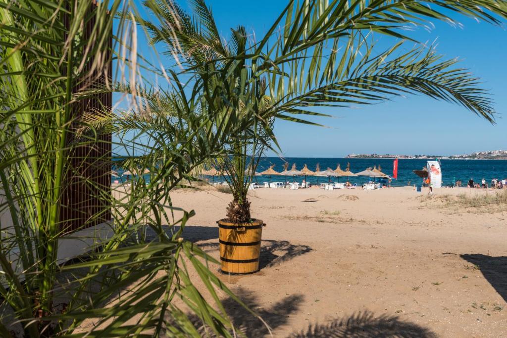 Camping Gradina - Bulharsko
