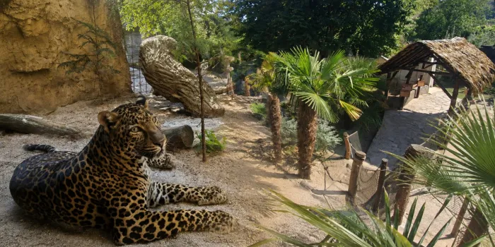Zoo Plasy - Plzeňsko a hodnocení