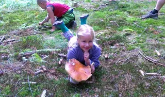 Camping Karolina - houbareni