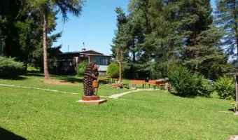 Chatova osada Borova - houbareni