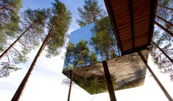 Treehotel a campsite Svedsko