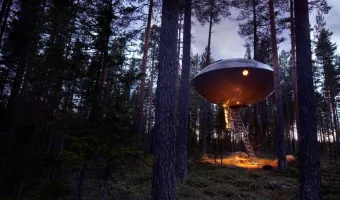 Treehotel a campsite Svedsko