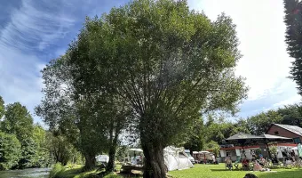 Camping de la Cascade, Belgie