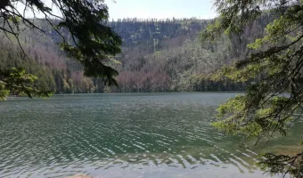 Černé jezero na Šumavě