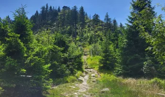 Hora Ostrý - Šumava