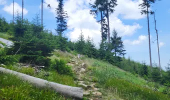 Hora Ostrý - Šumava