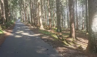 CHKO Šumava