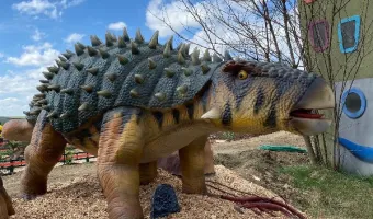 Merlinuv camp - Jizni Morava - Dinopark