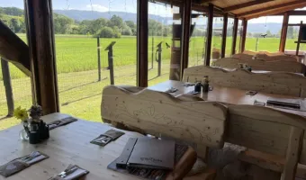 Camp Pacho - Restaurace a stravování v kempu