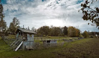 Zoo koutek na statku Vysočina - Apartmány Srdečno Humpolec