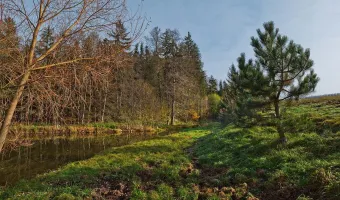 Ubytování u rybníka na Vysočině - pro stany, karavany i obytné vozy