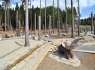 Mamutu veepark ja metsaeksperimentipark