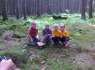 Camping Karolina - svampeplukning i skoven