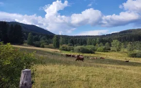 Apartmány Brevant Špičák, ubytování Šumava, Železná Ruda