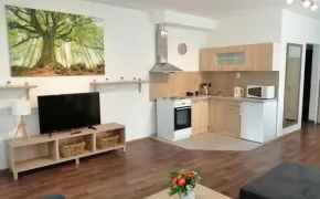 Apartmány U Stříbrných - rodinné moderní ubytování Hradec Králové