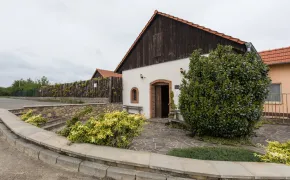 Vinný sklep - Penzion Patria Kobylí, Lednicko-valtický areál