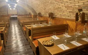 Degustace ve vinném sklípku Kobylí - Penzion Patria Pálava
