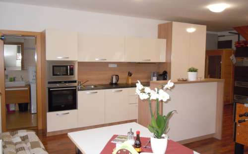 Javorový apartmán s infasaunou 2-8 (max. 10) osob - kuchyň