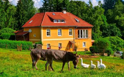 Cottage Jenín - şık konaklama Dolní Dvořiště Güney Bohemya, evler ve kır evleri havuzu Güney Bohemya bölgesi