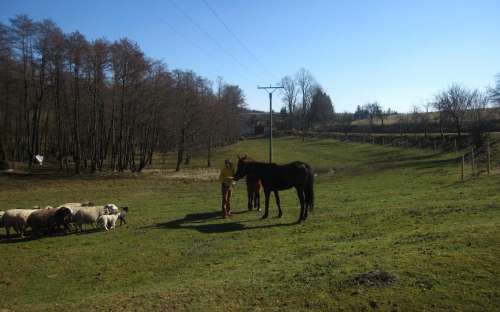 Agritourisme, Logement Knínice, Chalupa Vysočina