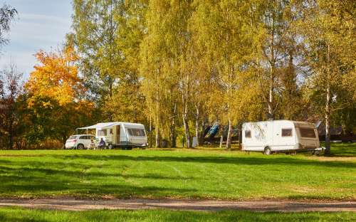 Camping Dolce - Les campings
