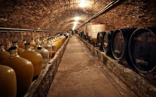 Wine cellar with the Šatov Znojmo press