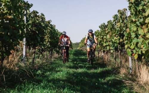 Cykling Hnanice South Moravia Podyjí