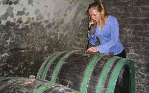 Vojtkovy family winery - Ubytování U Kapličky Znojmo