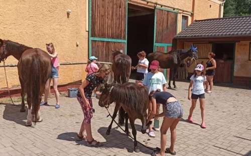 Horse camp for children Braňany Ústí Region, Ore Mountains