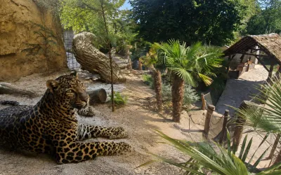 Zoo Plasy - Plzeňsko a hodnocení