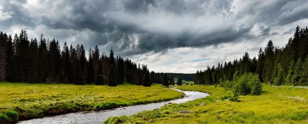 Národní park Šumava